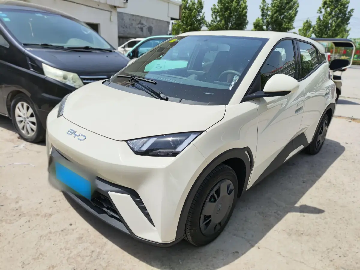 2025 BYD Seagull BEV 30.08KWH
