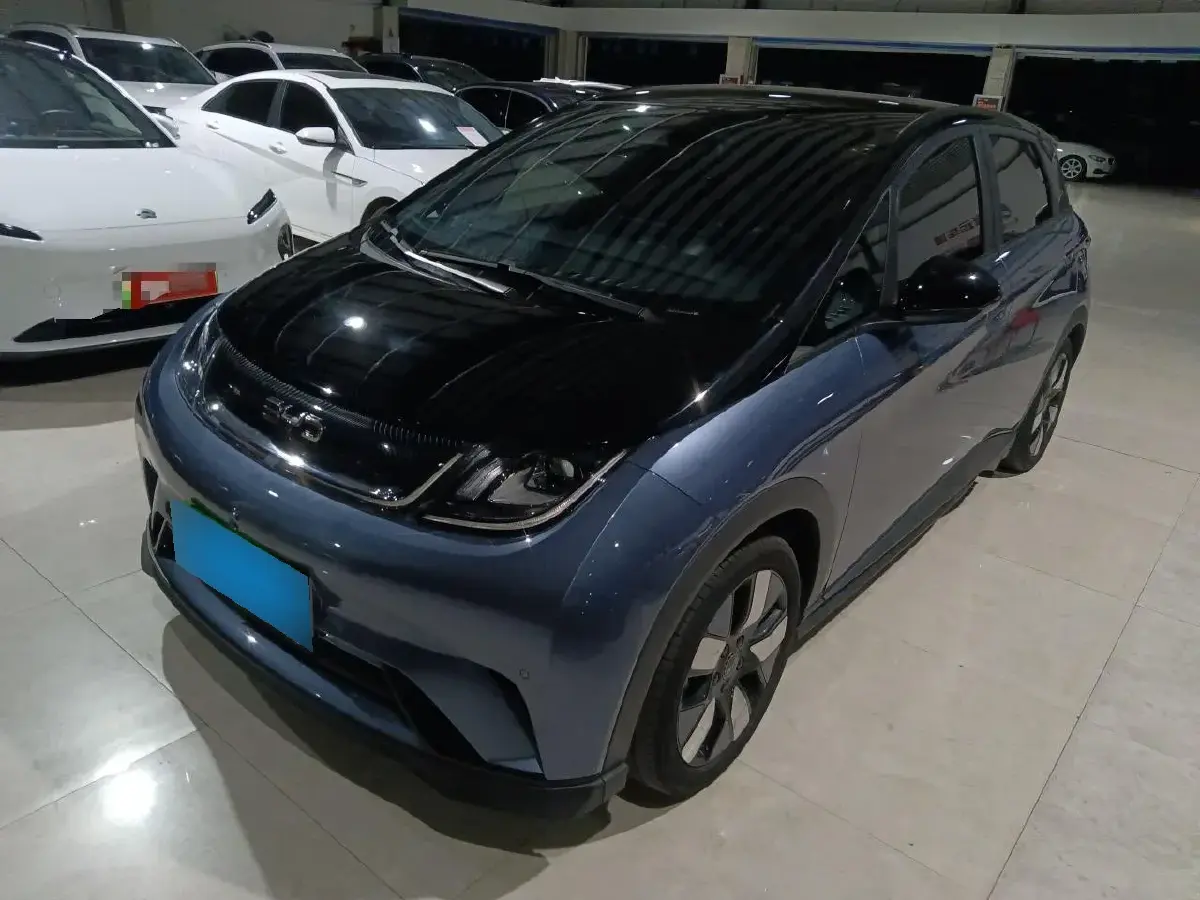 2025 BYD Dolphin BEV 60.48KWH