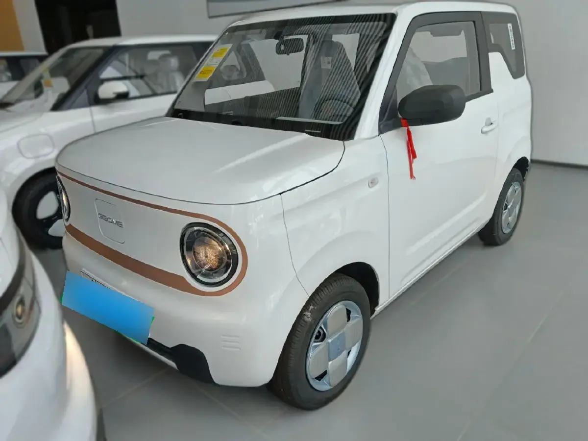 2024 Geely Galaxy Panda BEV 17.03KWH