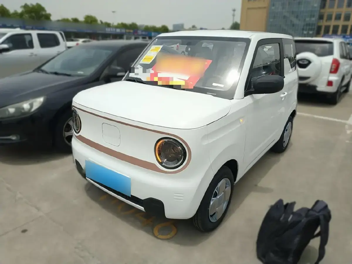 2024 Geely Galaxy Panda BEV 17.03KWH