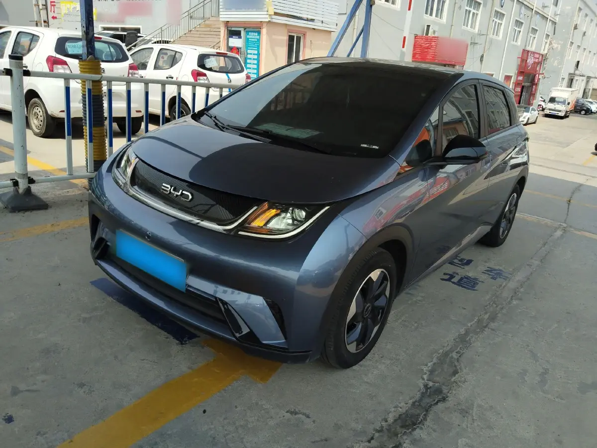 2024 BYD Dolphin BEV 44.928KWH