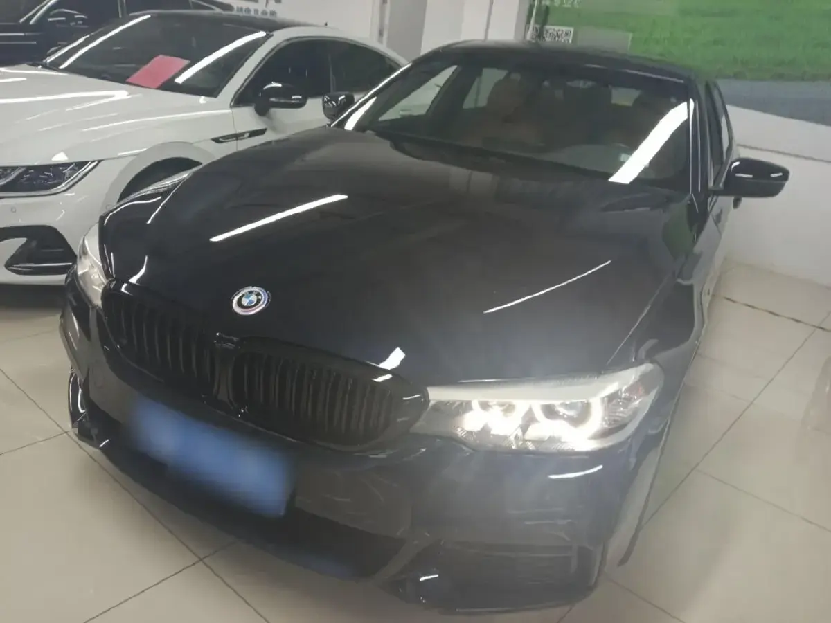 2019 BMW 5 Series 2.0T 252HP L4 8AT