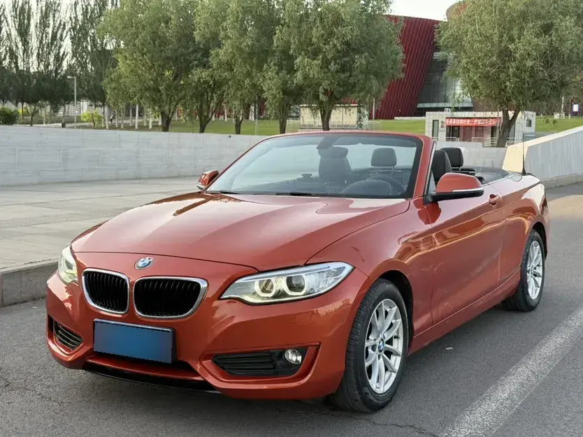 2015 BMW 2 Series 1.5T 136HP L3 8AT