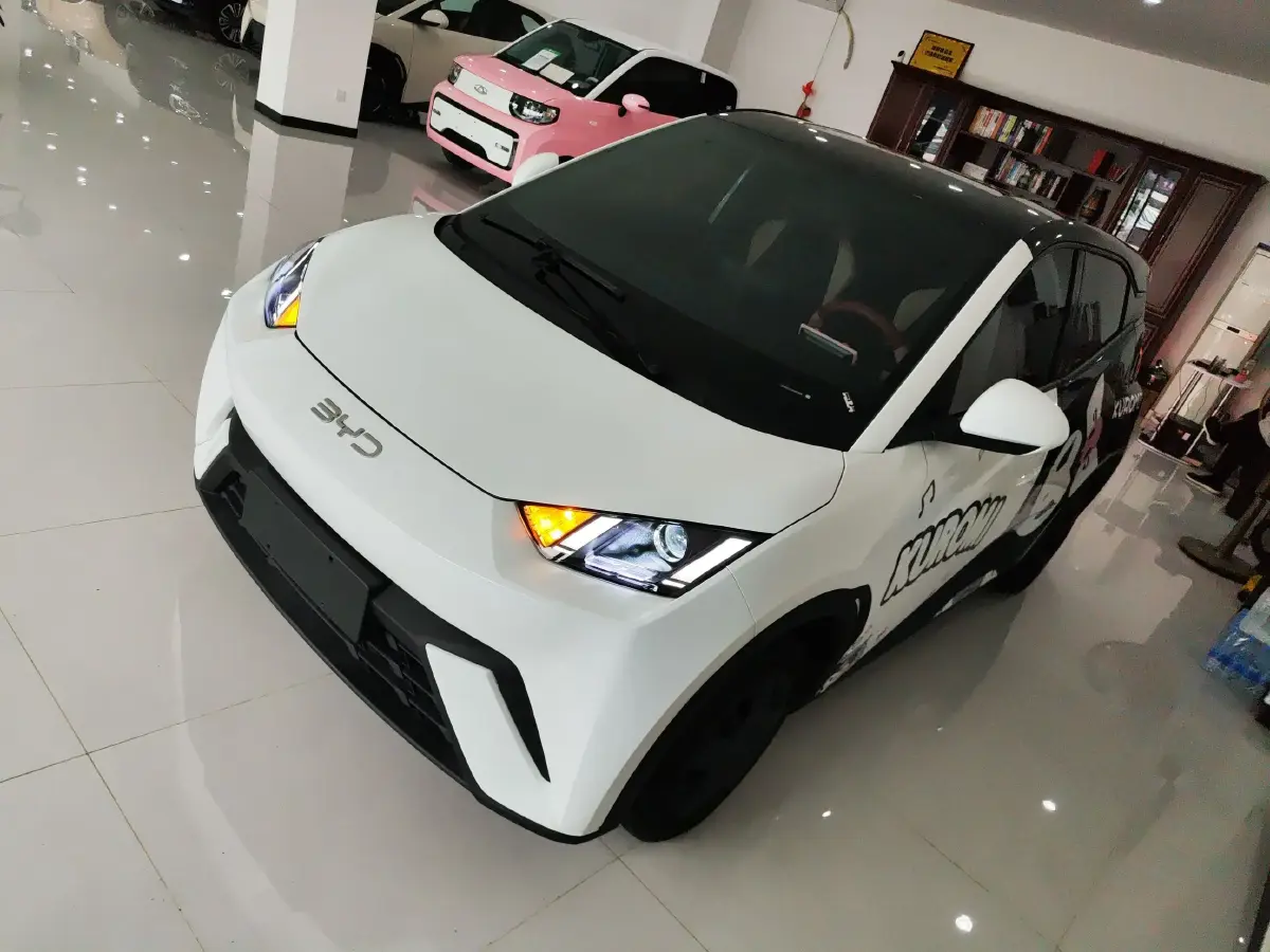 2025 BYD Seagull BEV 30.08KWH