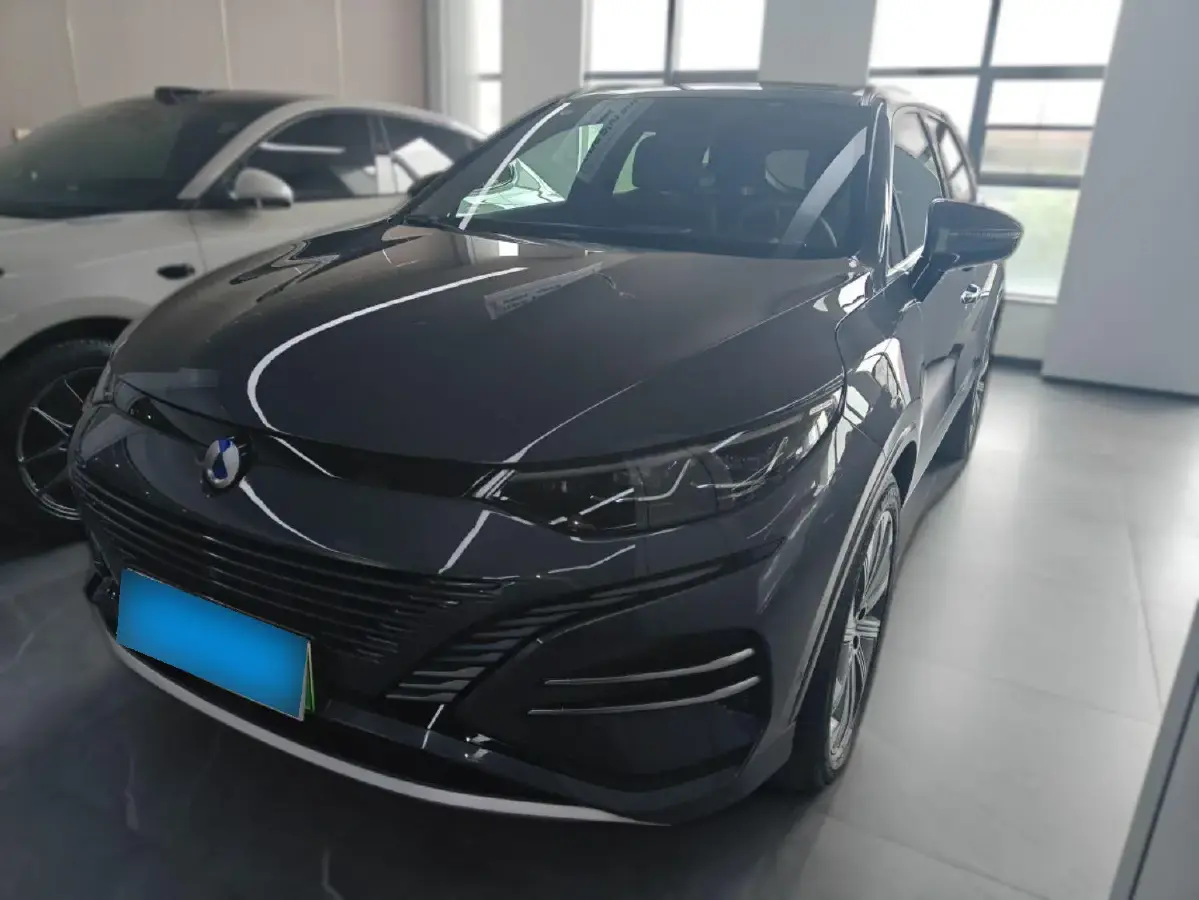 2023 Denza N8 1.5T 139HP L4 E-CVT PHEV 45.8KWH