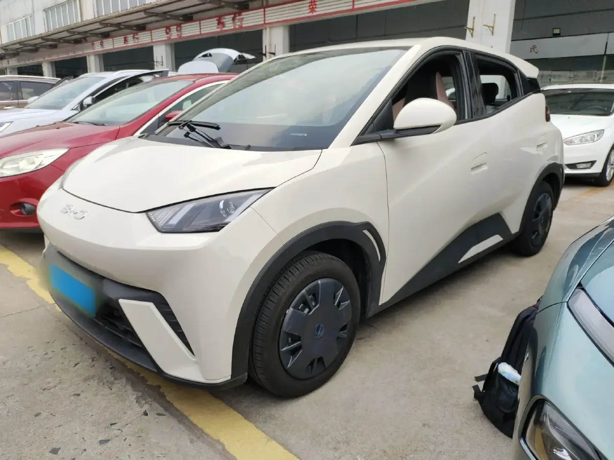 2025 BYD Seagull BEV 30.08KWH