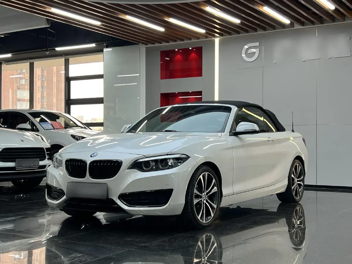 2019 BMW 2 Series 2.0T 184HP L4 8AT