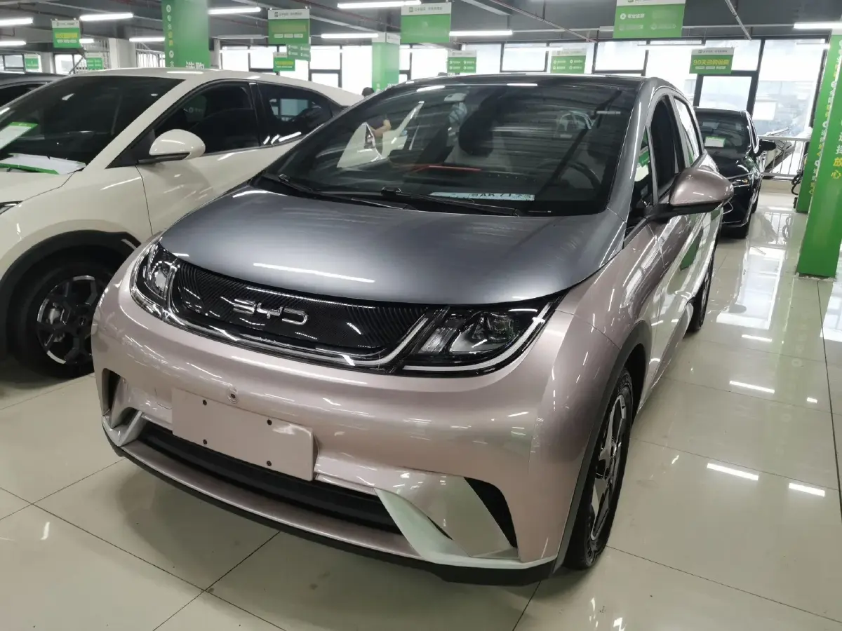 2021 BYD Dolphin BEV 44.9KWH