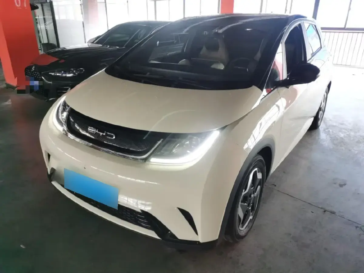 2021 BYD Dolphin BEV 44.9KWH
