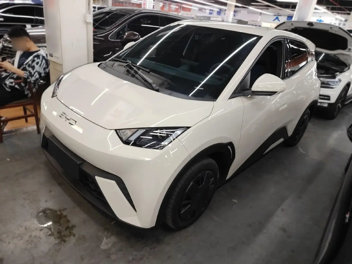 2025 BYD Seagull BEV 30.08KWH
