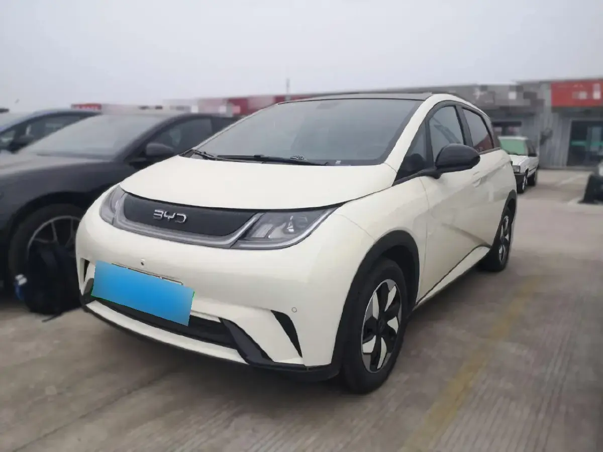 2024 BYD Dolphin BEV 44.928KWH