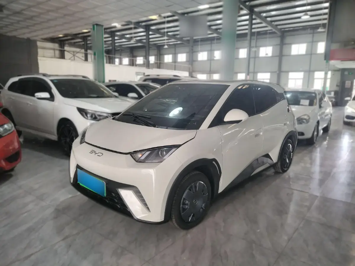 2024 BYD Seagull BEV 30.08KWH