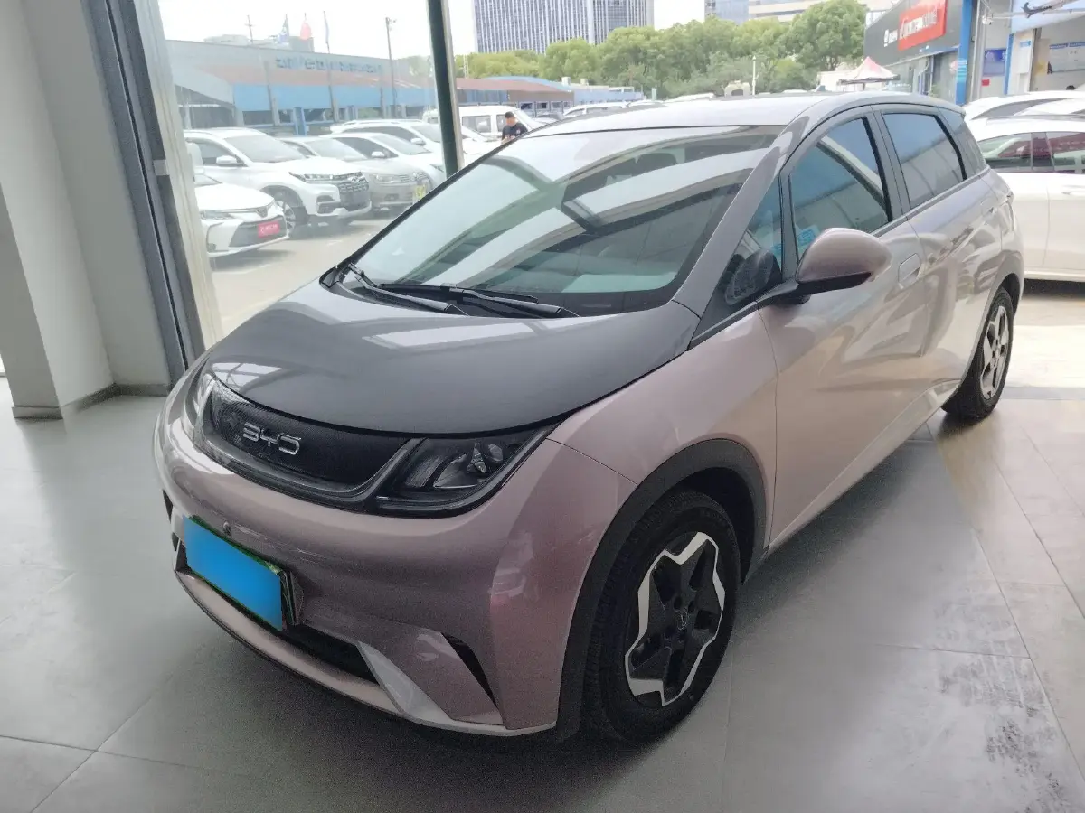 2021 BYD Dolphin BEV 44.9KWH