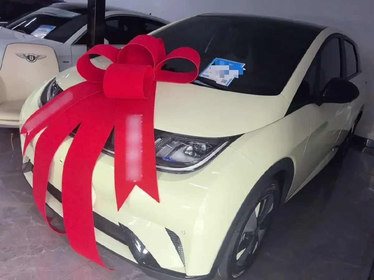 2023 BYD Dolphin BEV 44.928KWH