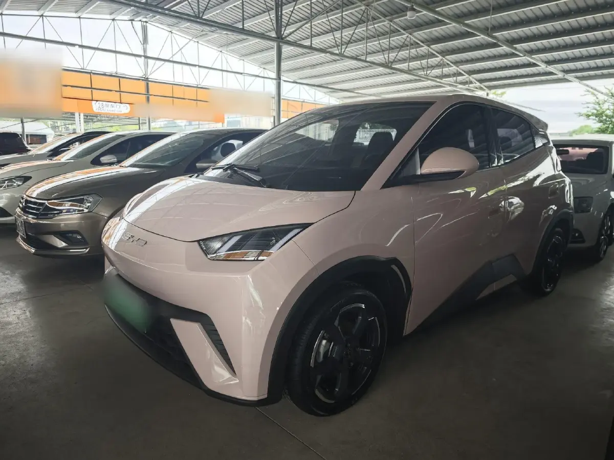 2023 BYD Seagull BEV 30.08KWH