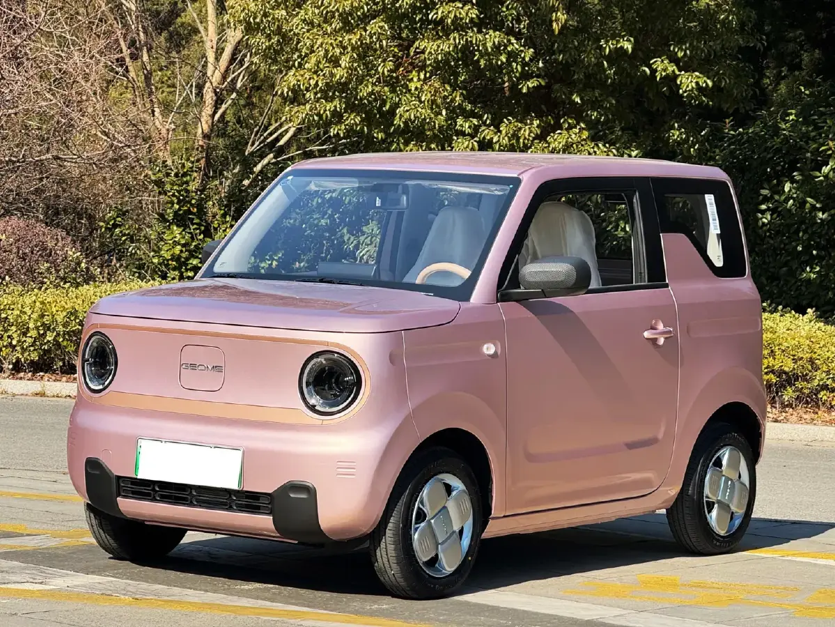 2024 Geely Galaxy Panda BEV 17.03KWH