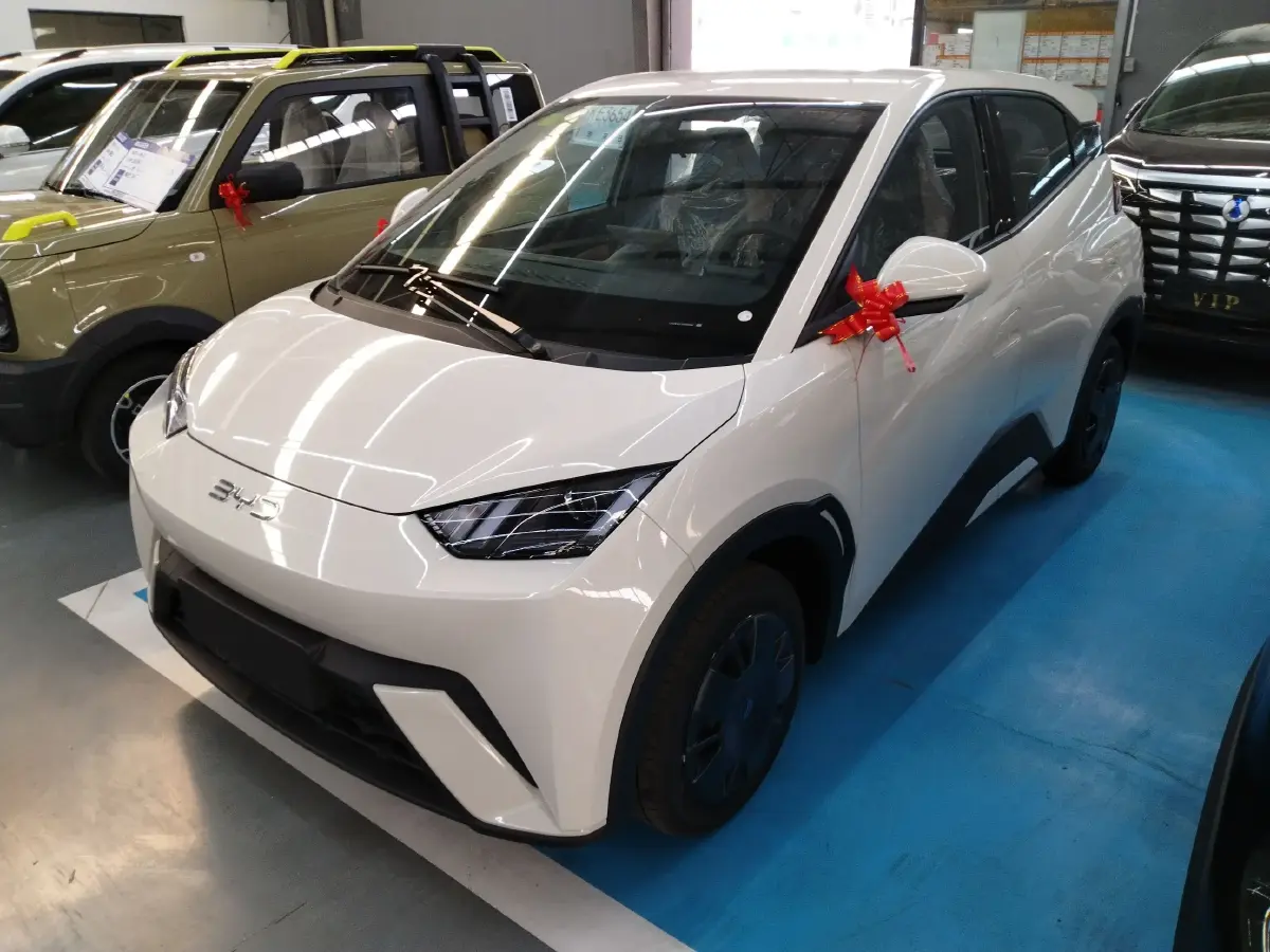 2025 BYD Seagull BEV 30.08KWH