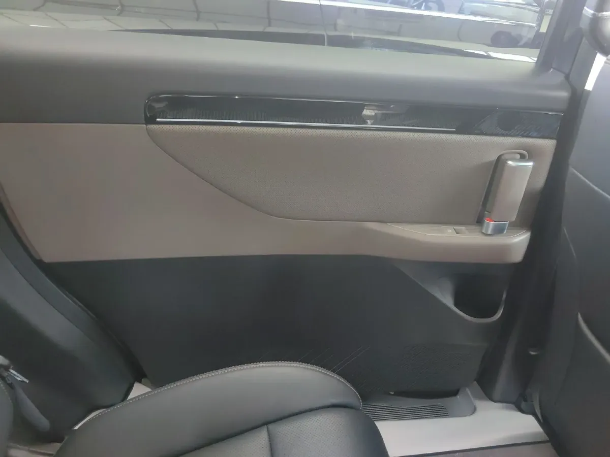 2024 GAC Trumpchi E8 2.0L 140HP L4 2DHT PHEV 25.57KWH,autocango,china used car exporter,china ev exporter,chinese used car exporter,chinese used ev exporter