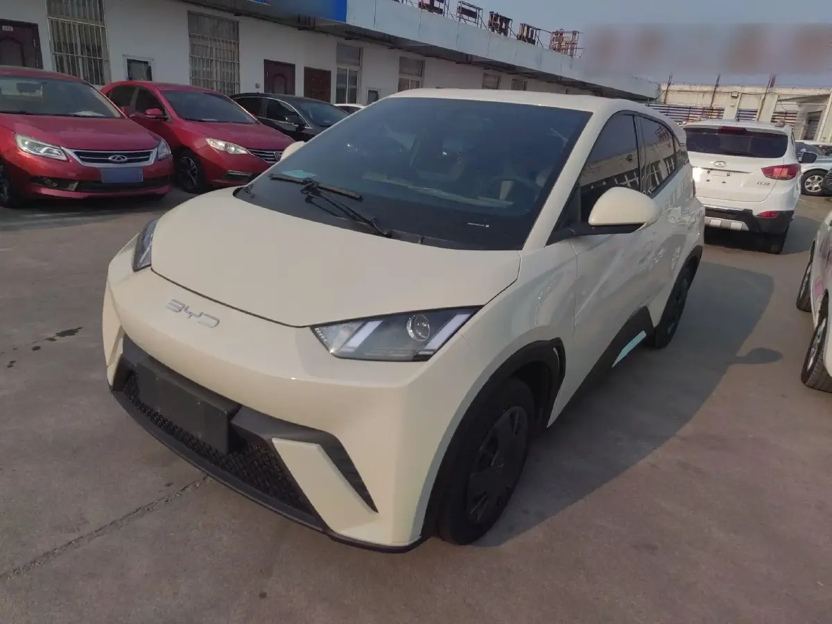 2024 BYD Seagull BEV 30.08KWH