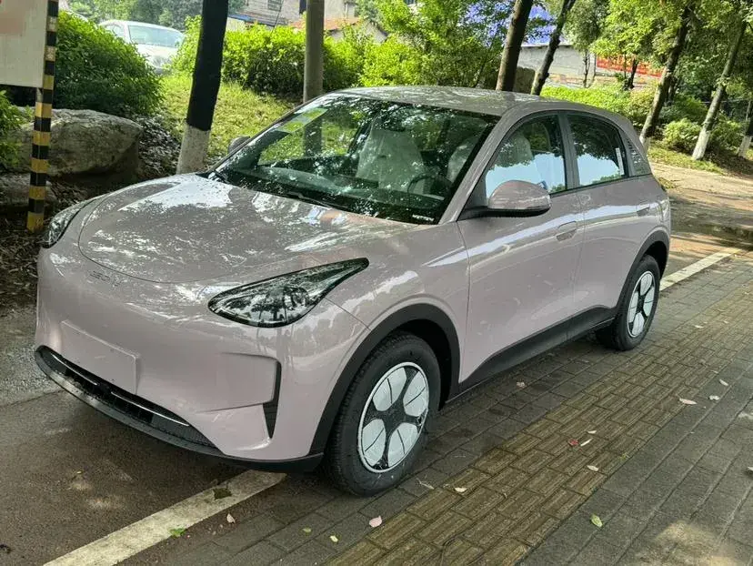 2025 Geely Galaxy XingYuan BEV 30.12KWH
