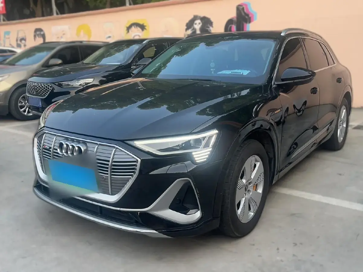 2021 Audi e-tron BEV 96.7KWH