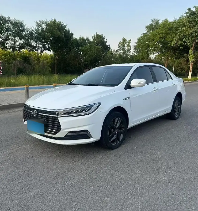2019 BYD Qin BEV 53.1KWH