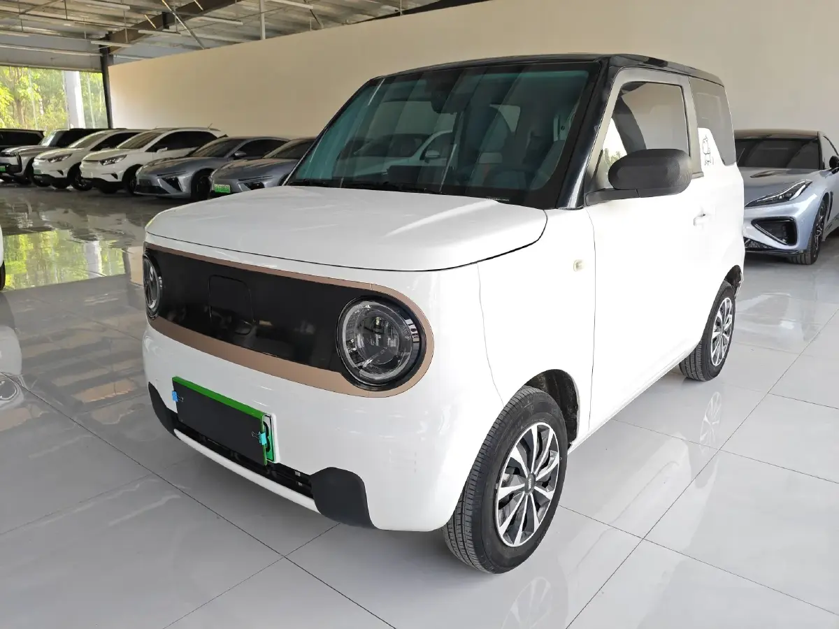 2023 Geely Galaxy Panda BEV 17.03KWH