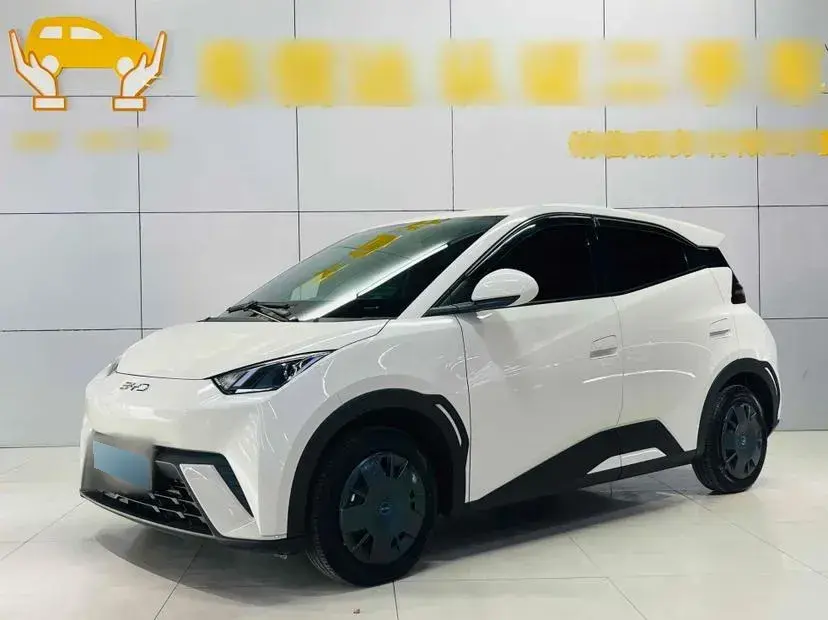 2025 BYD Seagull BEV 30.08KWH