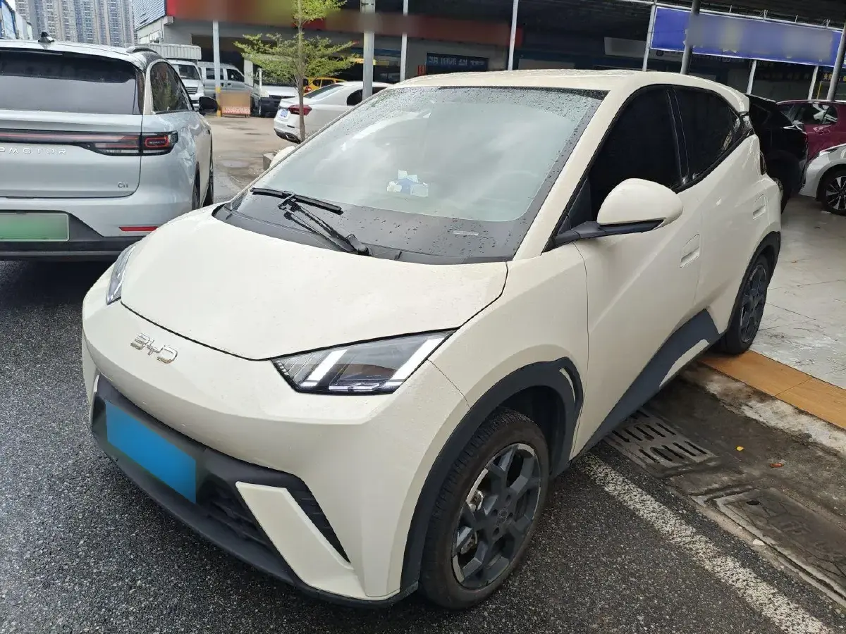 2025 BYD Seagull BEV 30.08KWH