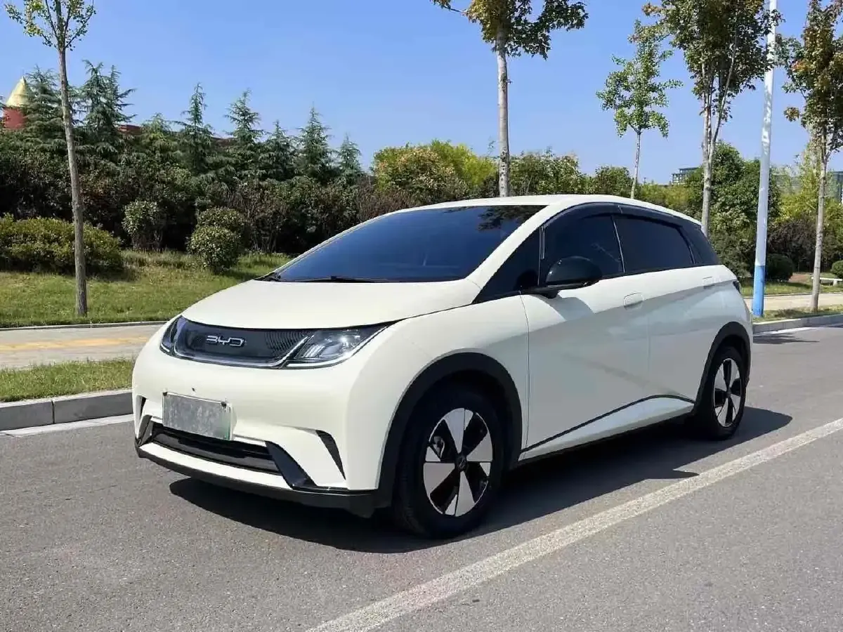 2023 BYD Dolphin BEV 44.928KWH