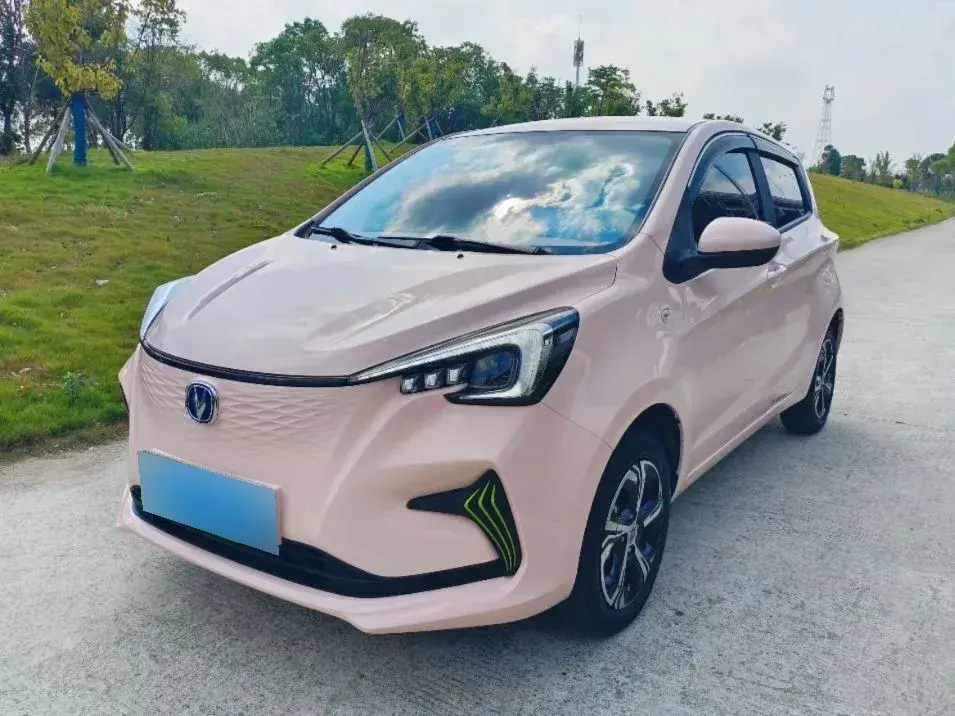 2022 ChangAn BenBen E-Star BEV 31.95KWH