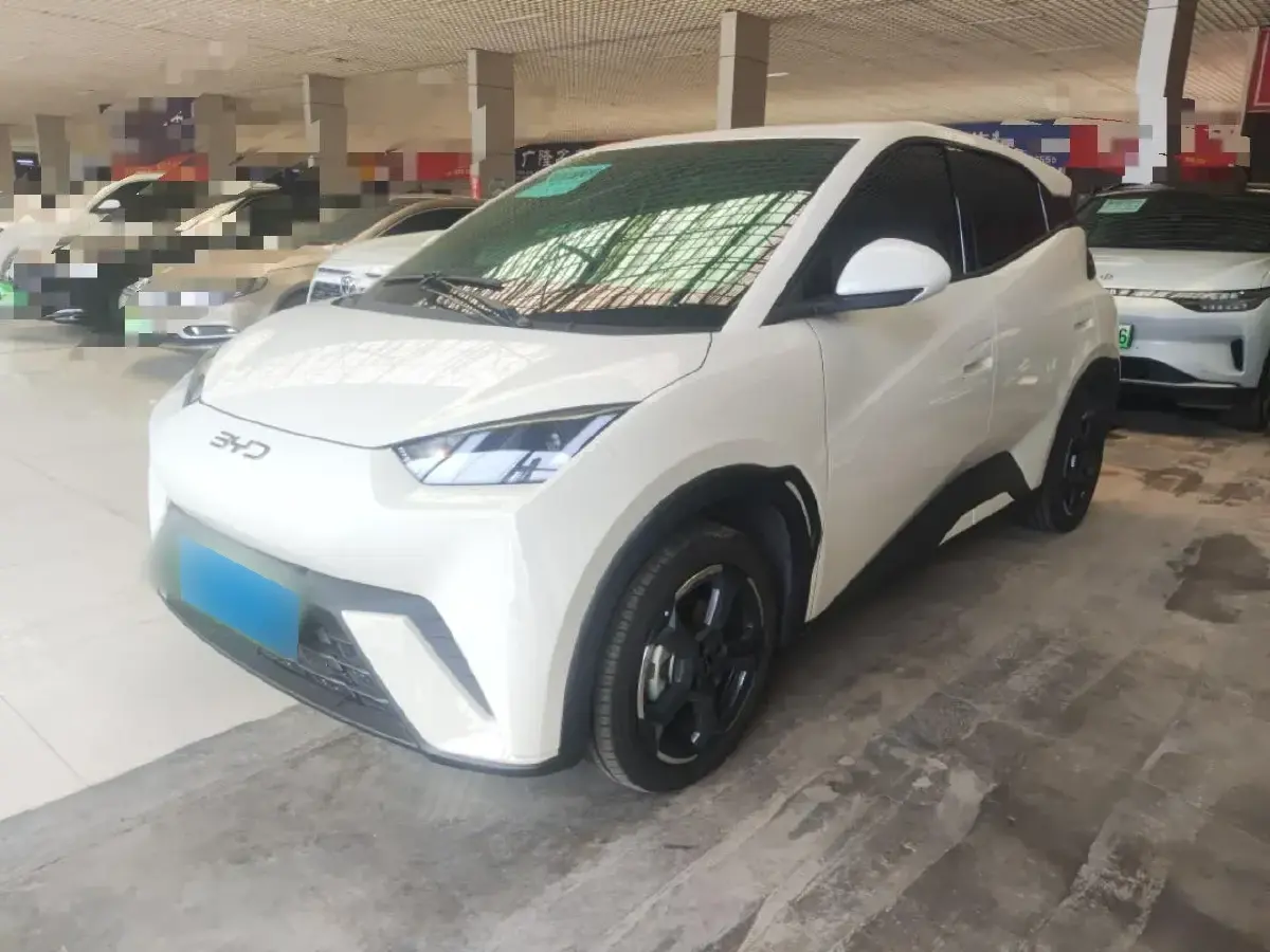 2023 BYD Seagull BEV 30.08KWH