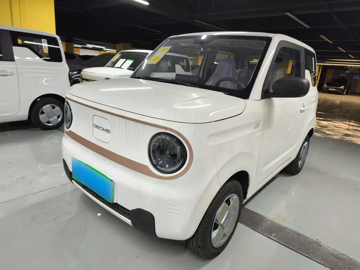 2024 Geely Galaxy Panda BEV 17.03KWH