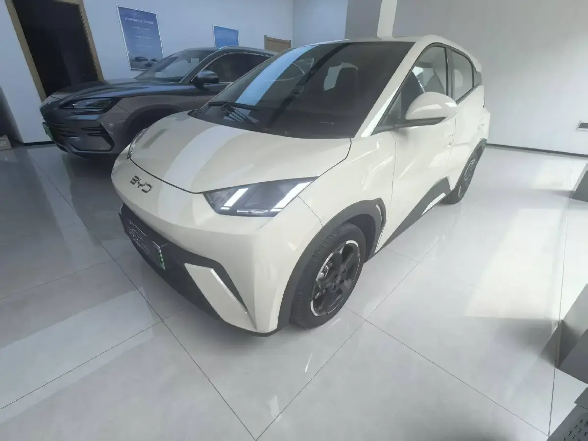 2024 BYD Seagull BEV 38.88KWH