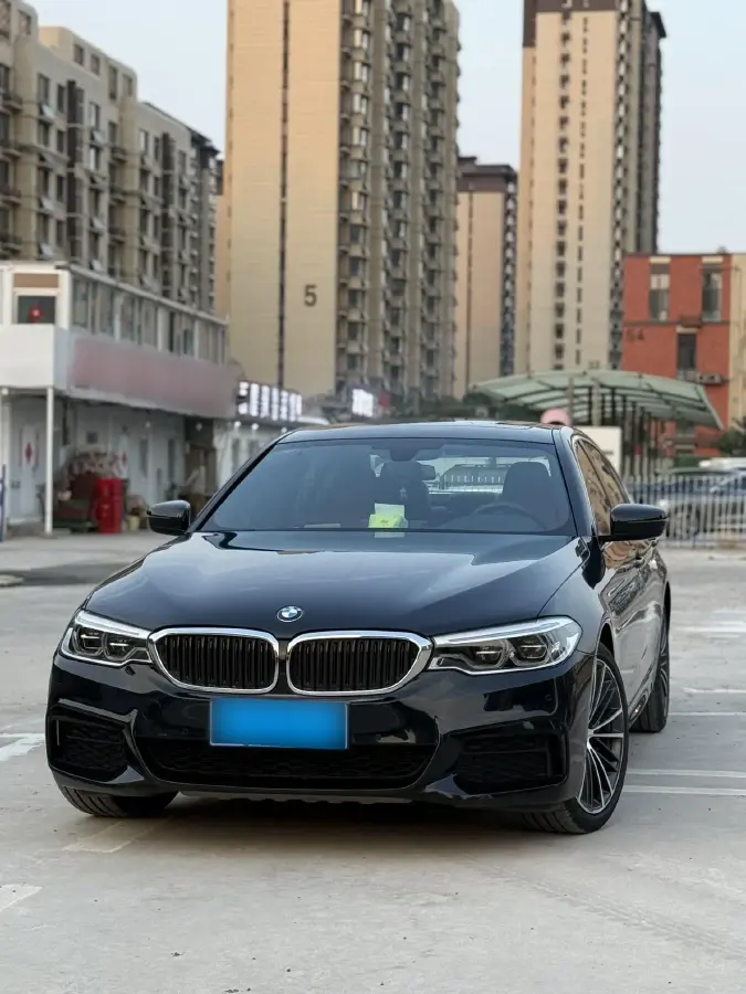 2020 BMW 5 Series 2.0T 252HP L4 8AT 2020 BMW 5 Series 2.0T 252HP L4 8AT