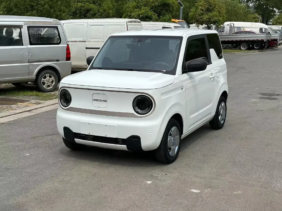 2023 Geely Galaxy Panda BEV 17.03KWH