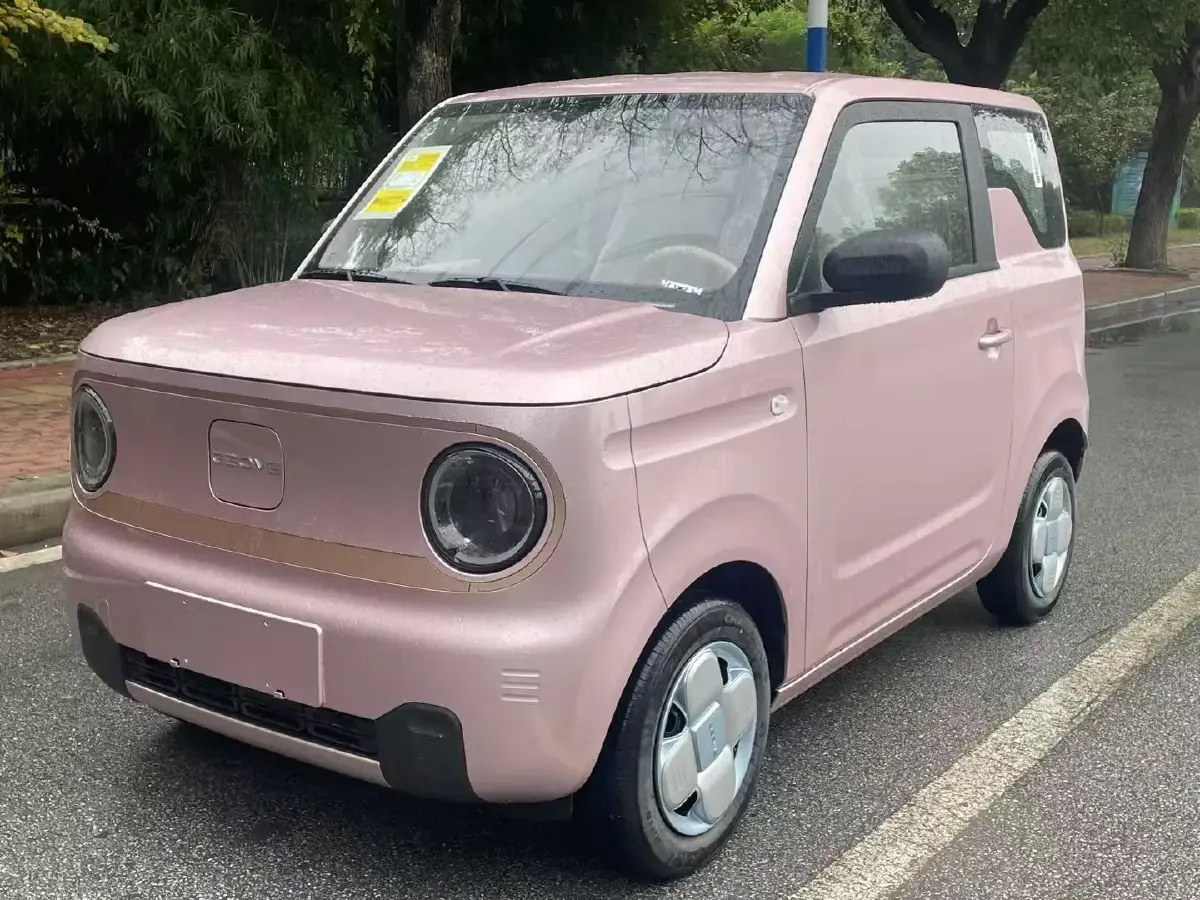 2024 Geely Galaxy Panda BEV 17.03KWH