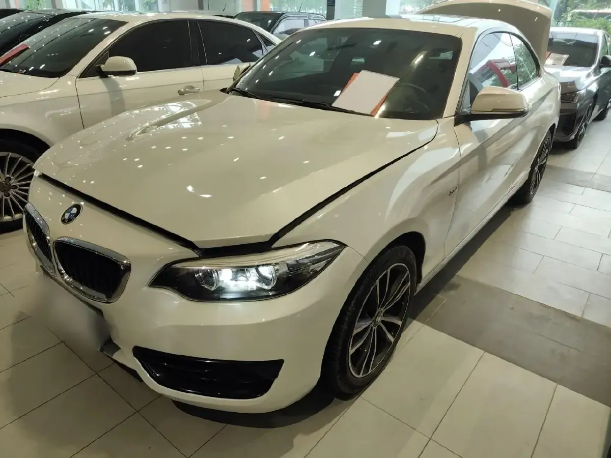 2018 BMW 2 Series 1.5T 136HP L3 8AT