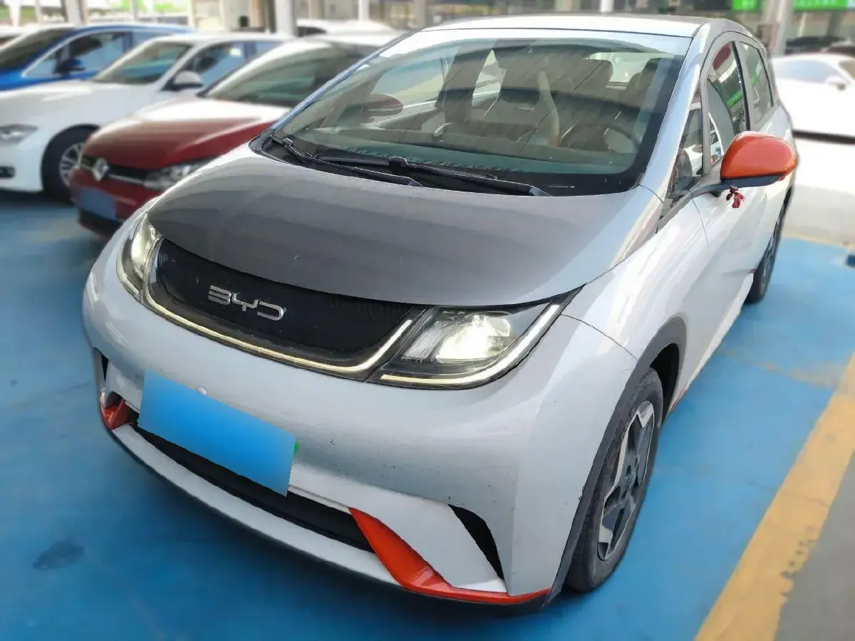 2021 BYD Dolphin BEV 44.9KWH
