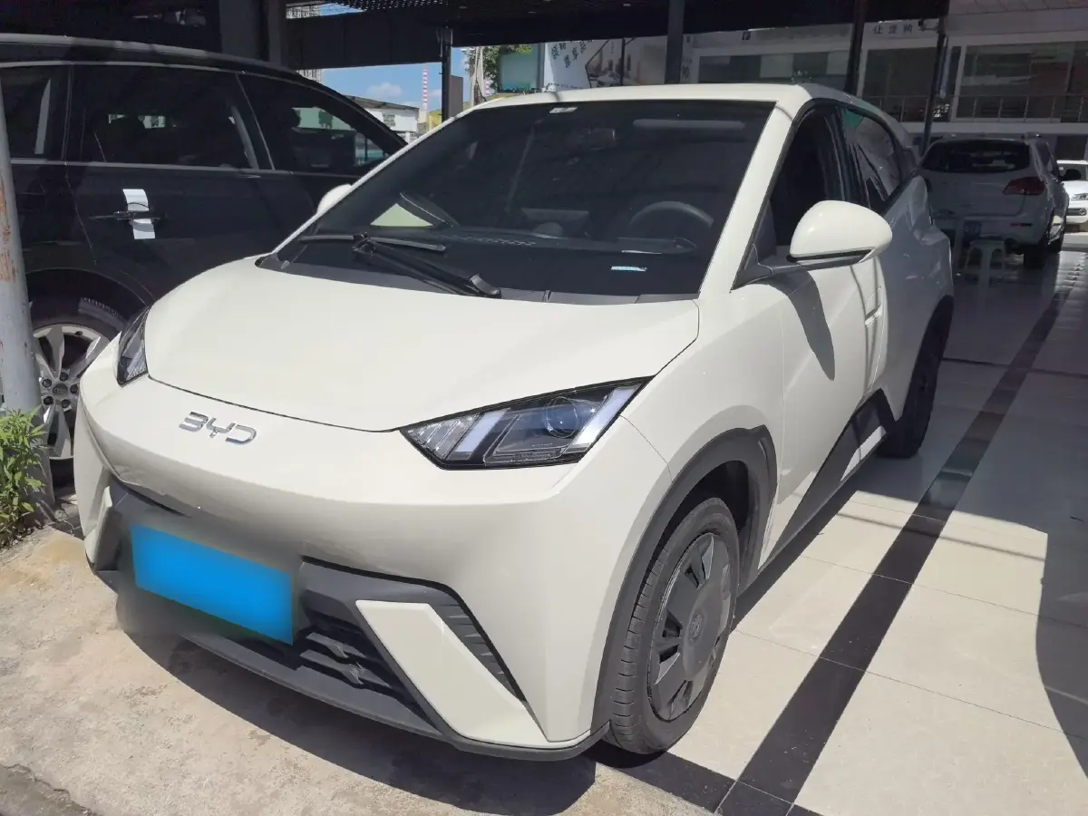 2025 BYD Seagull BEV 30.08KWH