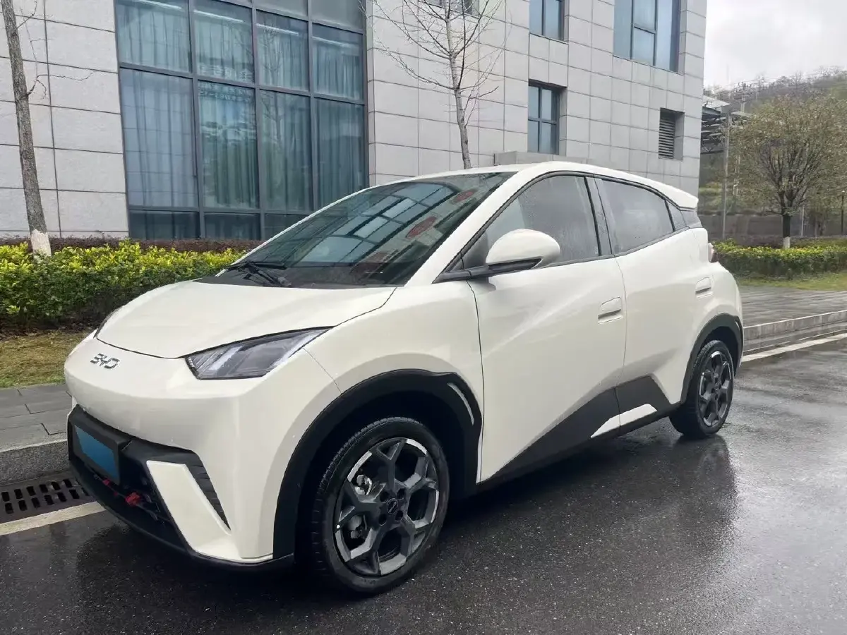 2025 BYD Seagull BEV 30.08KWH