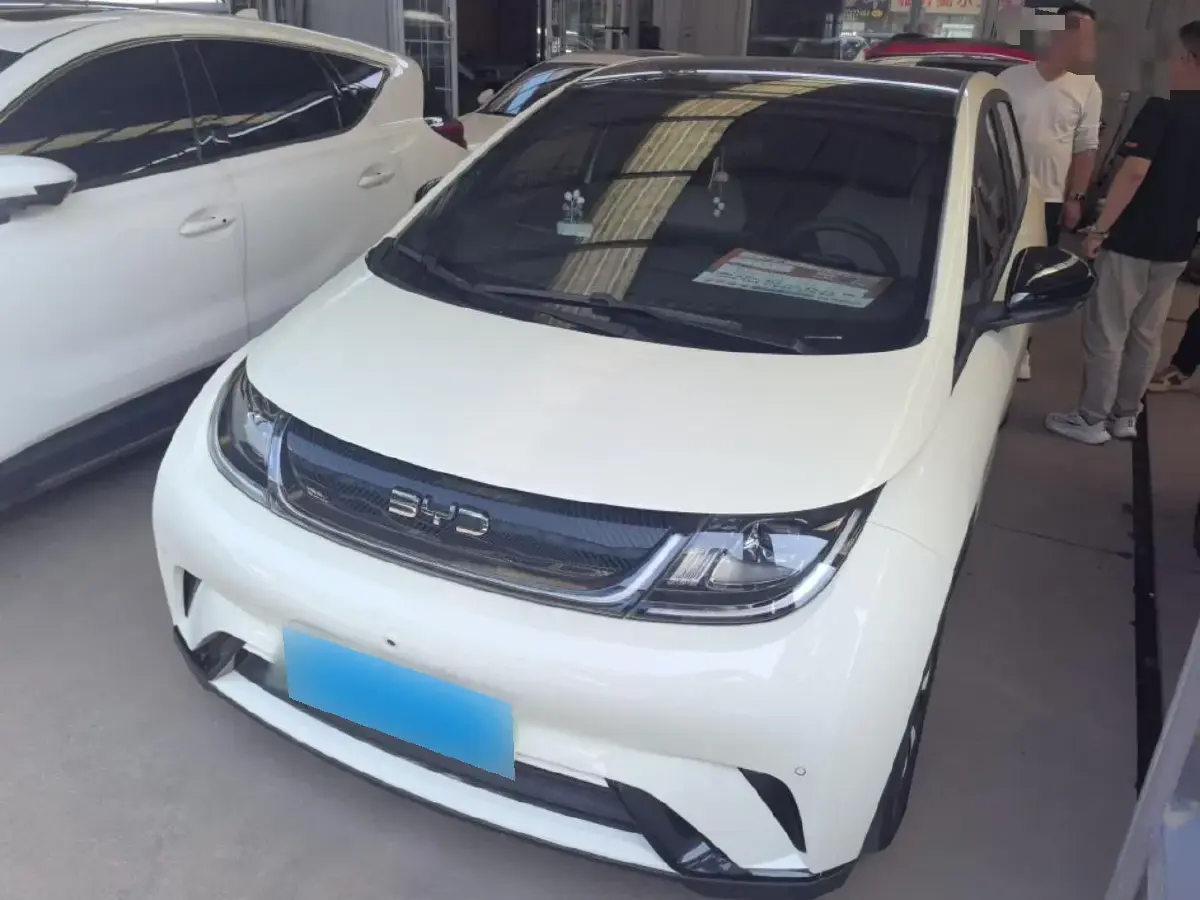 2025 BYD Dolphin BEV 44.928KWH
