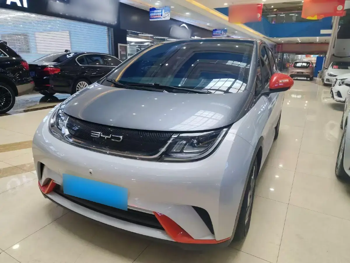 2021 BYD Dolphin BEV 44.9KWH