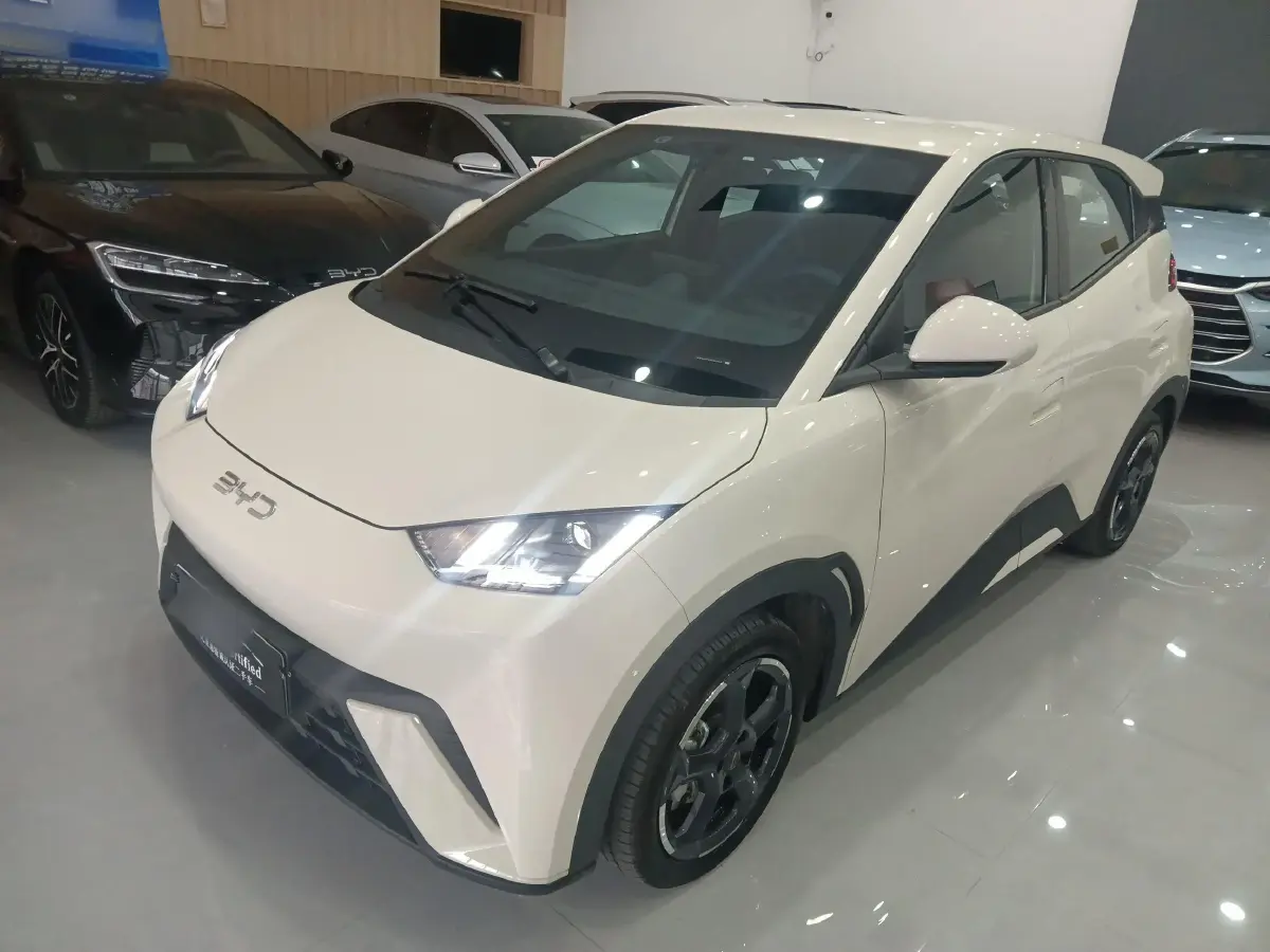 2024 BYD Seagull BEV 38.88KWH