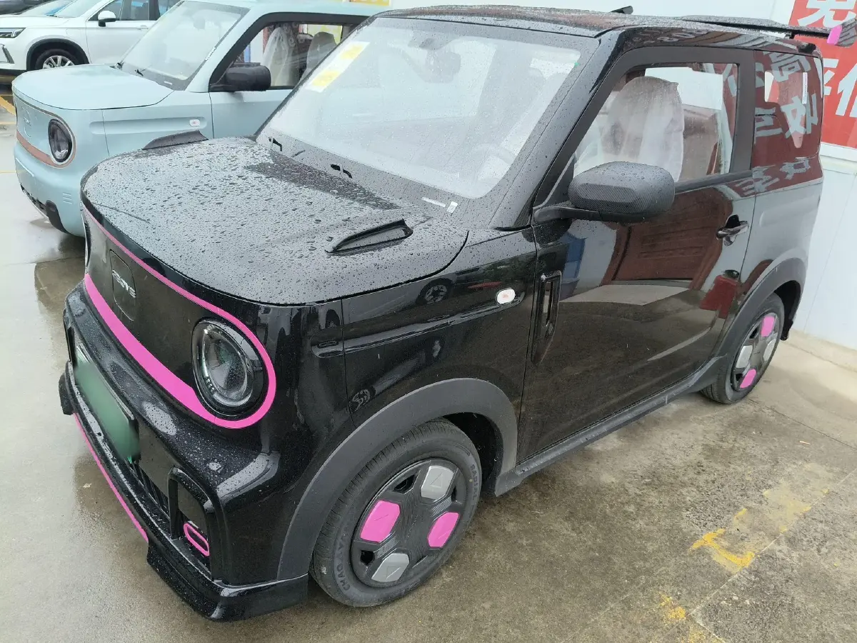 2025 Geely Galaxy Panda BEV 17.03KWH