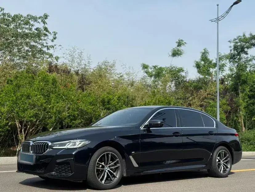 2021 BMW 5 Series 2.0T 184HP L4 8AT