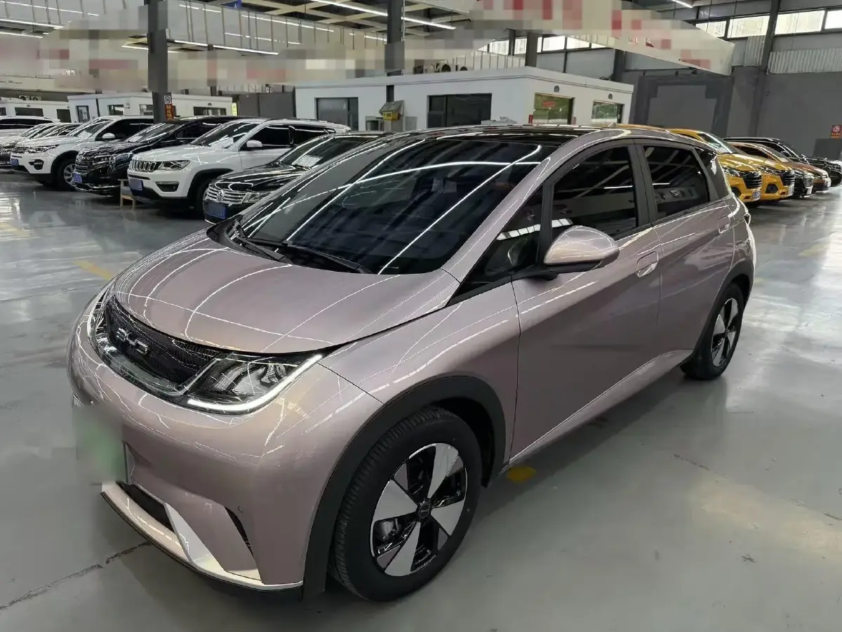 2023 BYD Dolphin BEV 44.928KWH