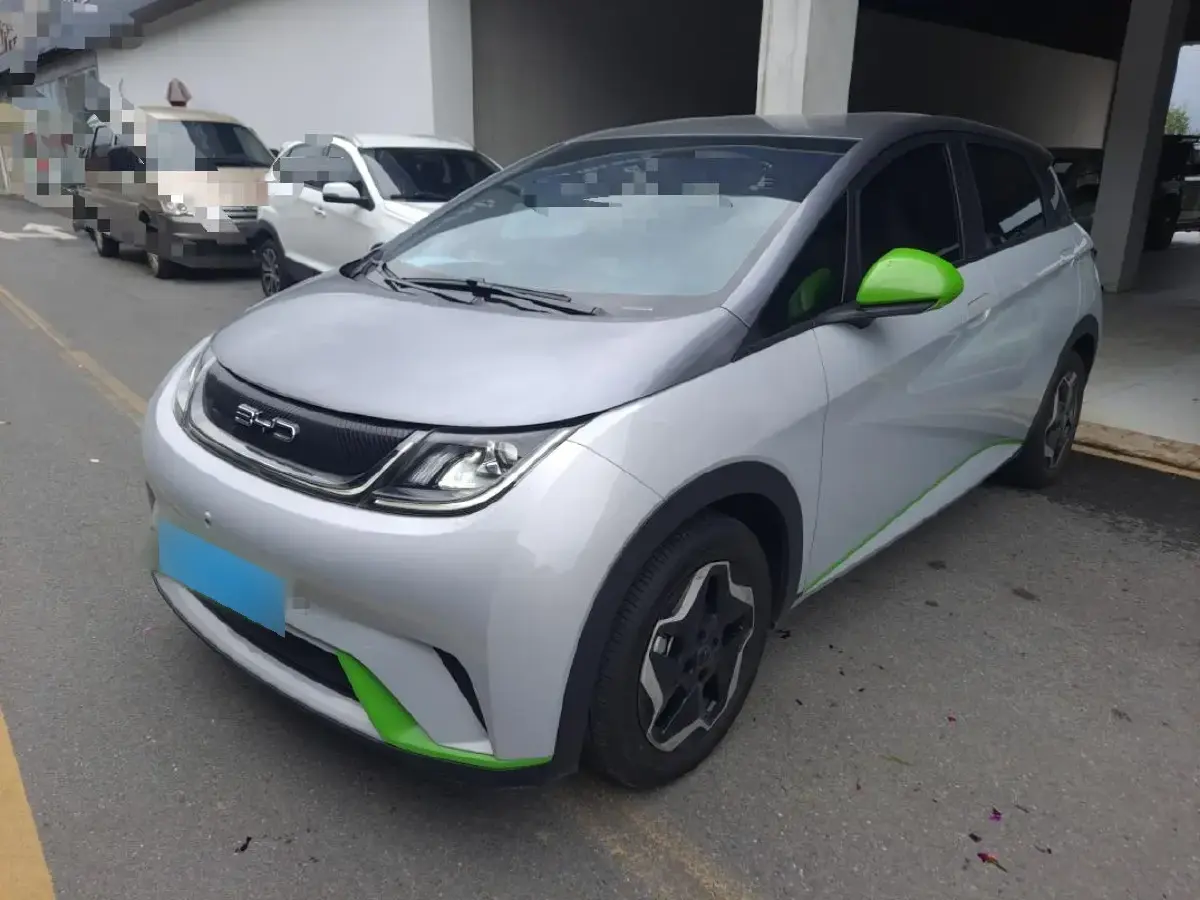 2021 BYD Dolphin BEV 44.9KWH