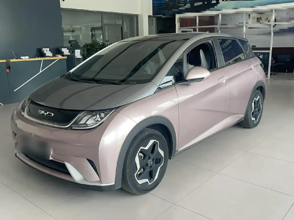 2021 BYD Dolphin BEV 44.9KWH