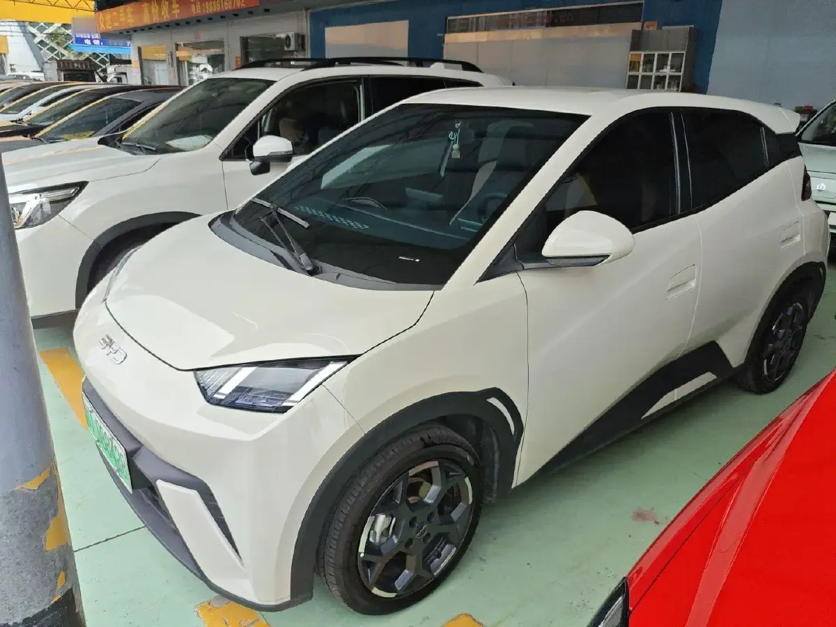 2025 BYD Seagull BEV 30.08KWH